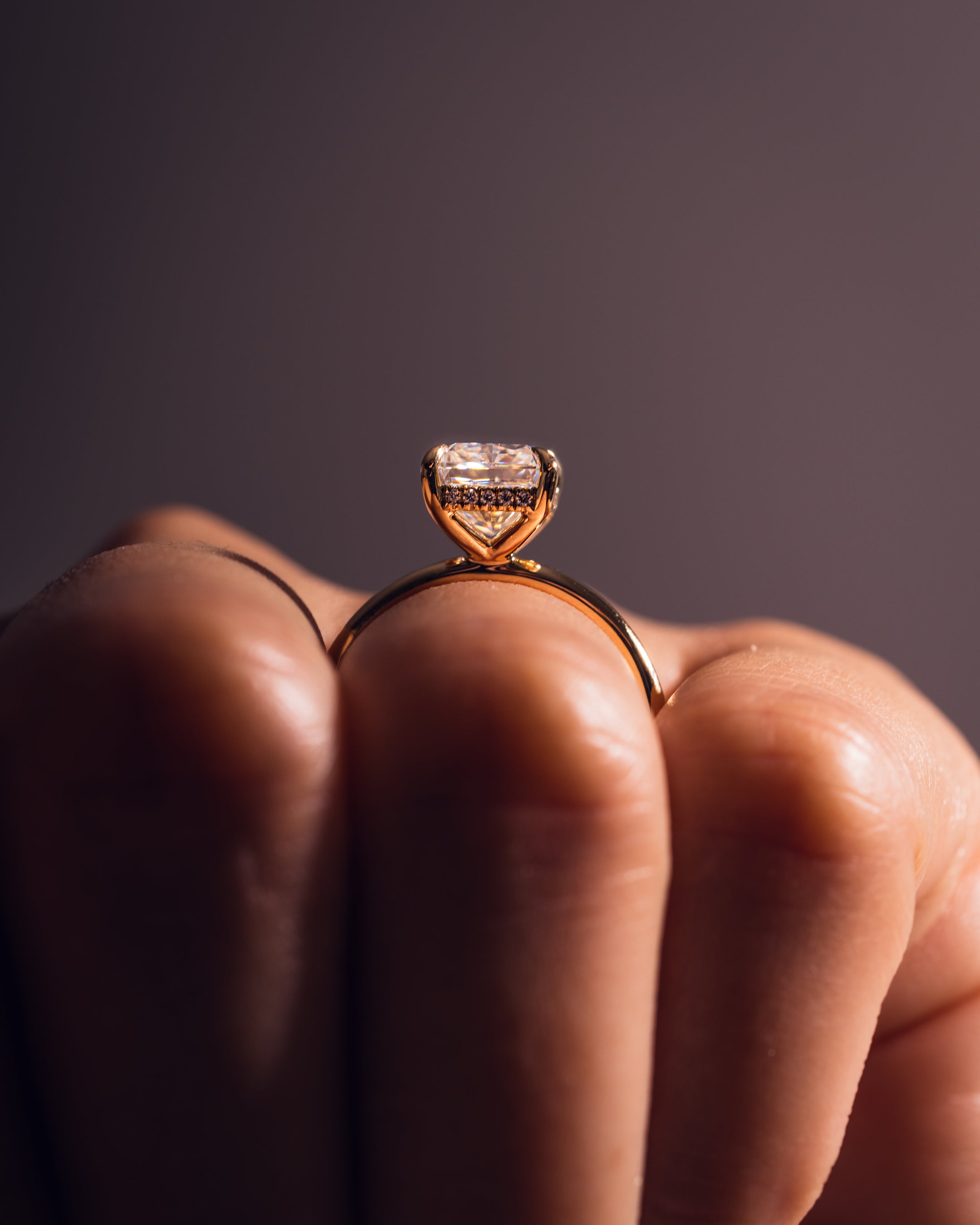 Harley - Strahlend | Gold